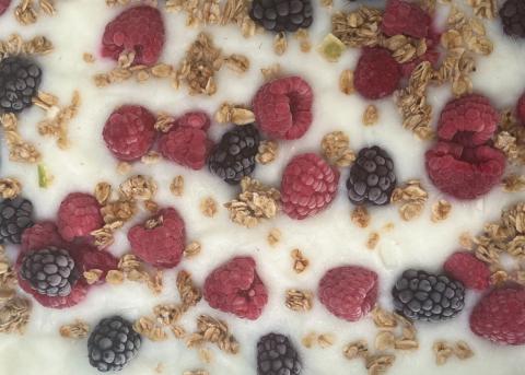 Berry frozen yogurt bark